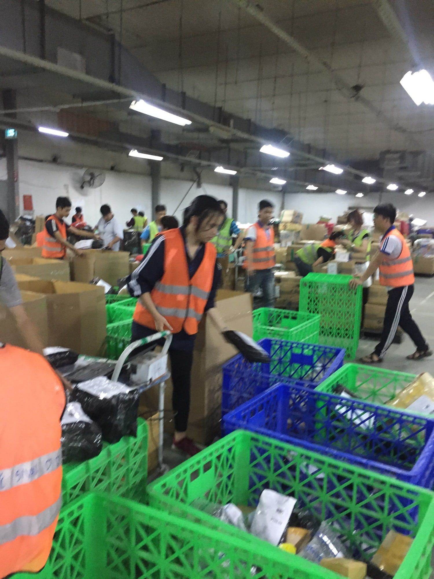 Warehouse staff in orange safety vests sort parcels into plastic crates.